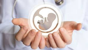 Egg Donation