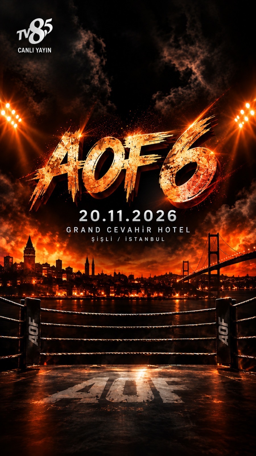 Army of Fighters 6 fight night poster for November 20 2026 at Grand Cevahir Hotel Istanbul