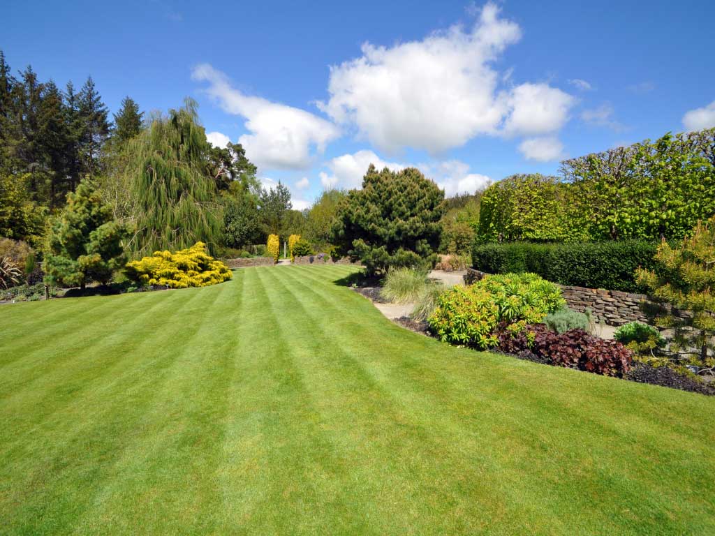 Southern Grounds Services Expands Tree Planting Service Across Surrey