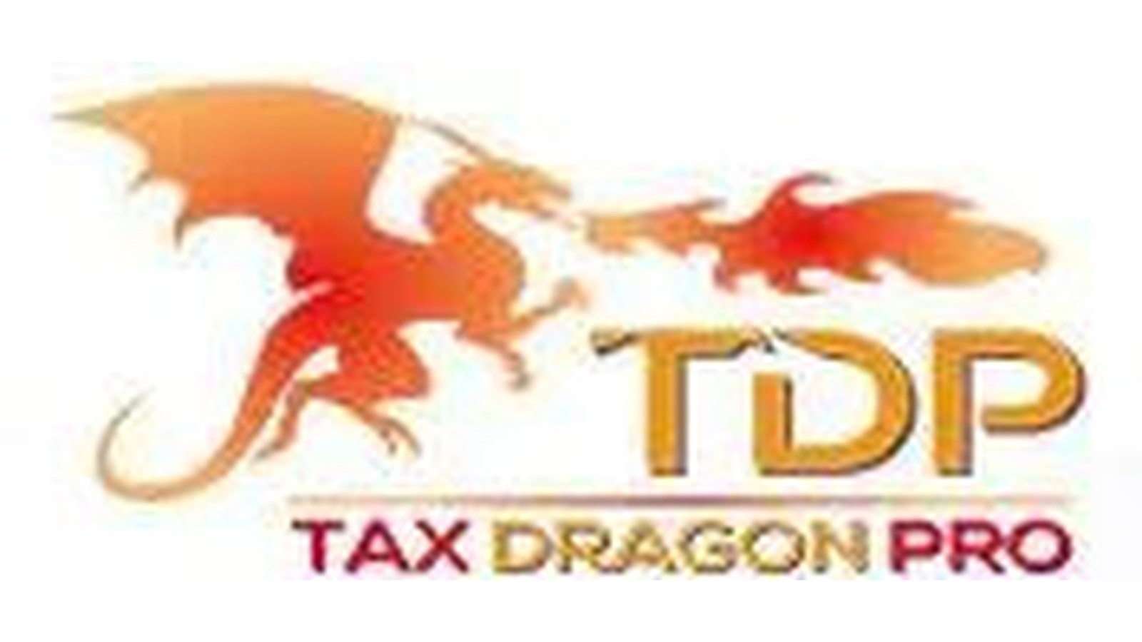 tax dragon pro