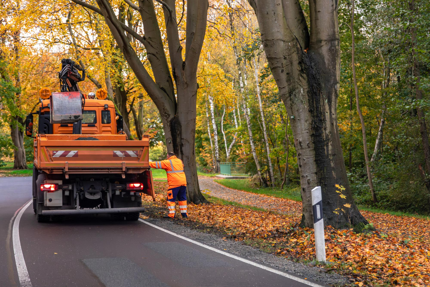 Waste Removal Services in Banff